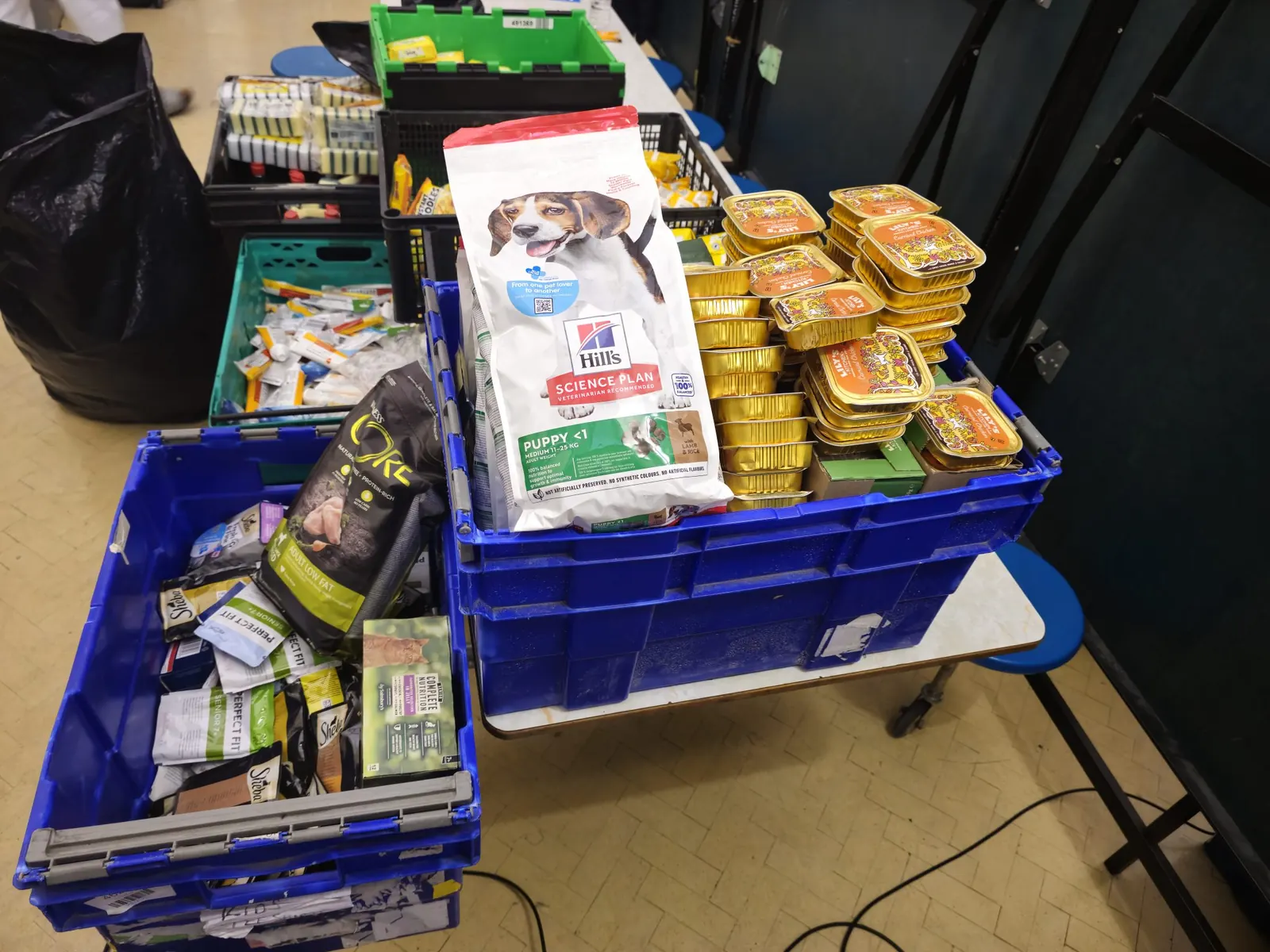 Sorting fresh donations